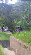 IMG-20260505-WA0259